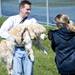 Dogs meet outside the courts during the Girls Tennis Invitational on Saturday, April 27. Daniel Brenner I AnnArbor.com